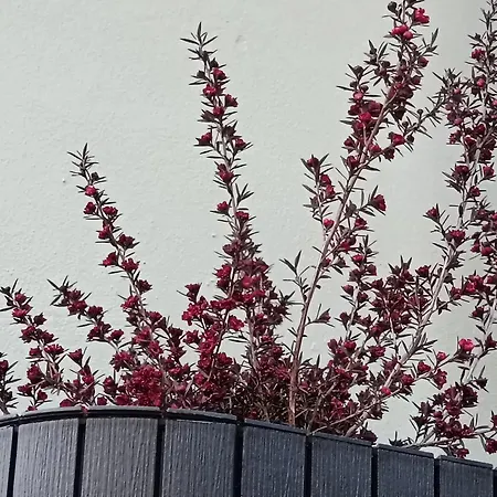 Сasa de vacaciones El Cantón